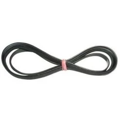 FAURE Courroie 1980 H6 Polyv 284698 Pour SECHE LINGE